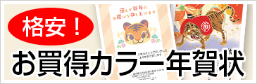 お買得カラー年賀状